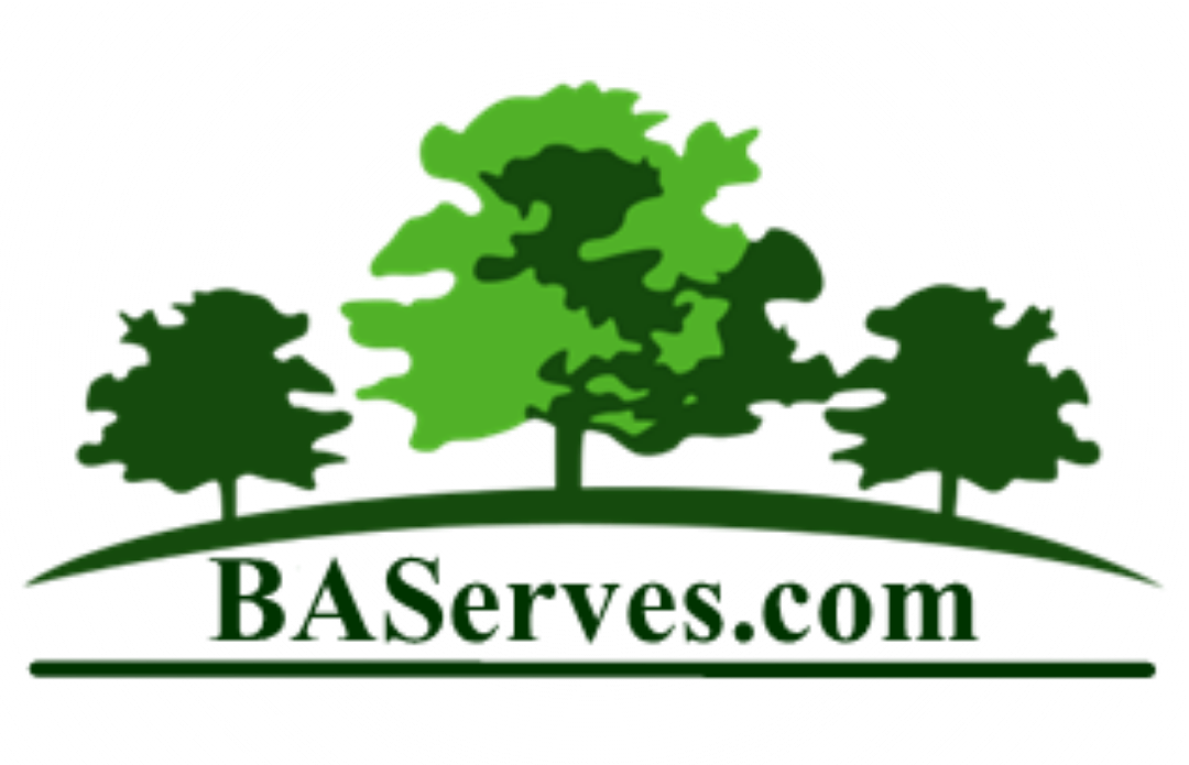 BA Services Booking